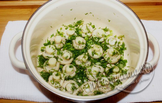 добавляем лук